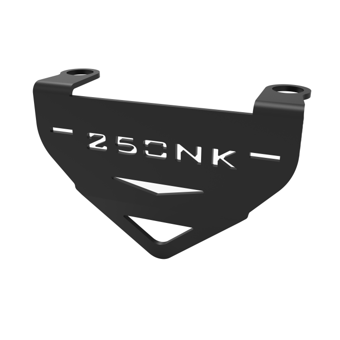 250 NK (2017-2024) KALİPER KORUMA